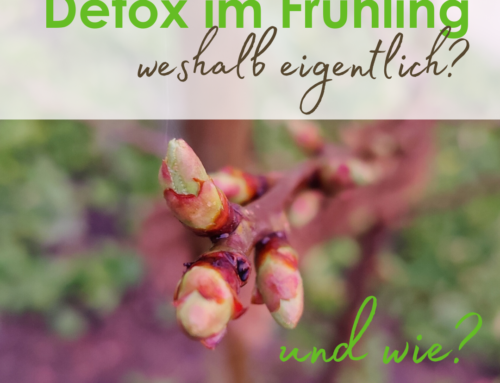 Detox im Frühling – weshalb eigentlich? und wie?